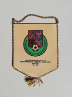 /album/a2006/2006-cesko-srbsko-a-cierna-hora-u-19-priatelsky-16-jpg/